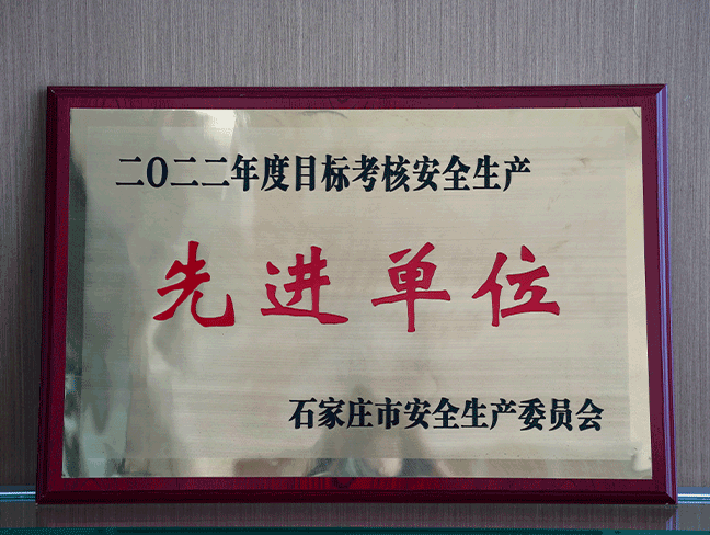 2022年度目标考核宁静生产先进单元-市宁静生产委员会.png